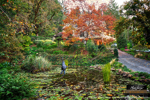 Schramsberg Pond Fall