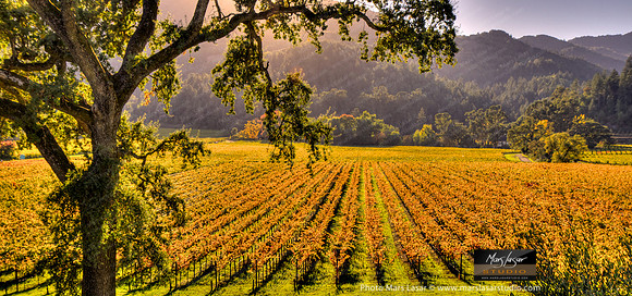 Fall Hidden Valley_pan