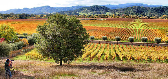 Mars Lasar_in the field