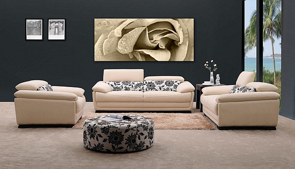 classic rose_living room