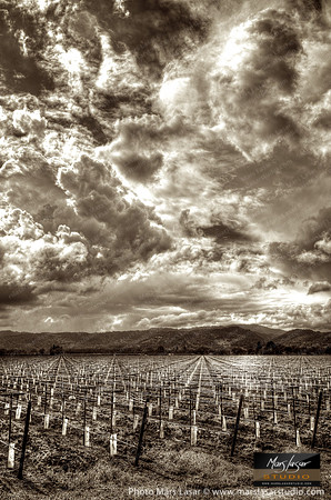 Dramatic Valley_sepia_vert