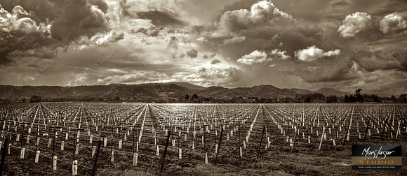 Angels Territory_pan