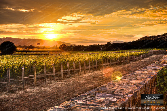 Golden Wine Country