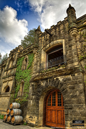 Chateau Montelena Spring