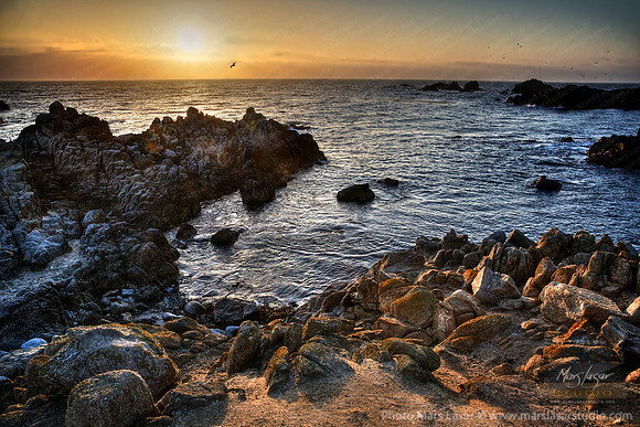 Pacific Grove Sunset