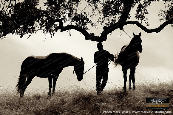 The Horse Whisperer 4