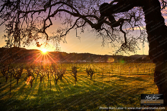 Golden Winter Sunset