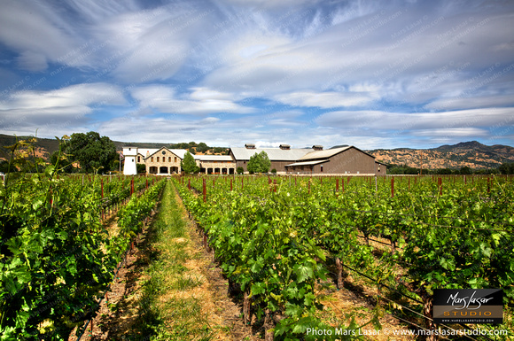 Silver Oak Summer 6