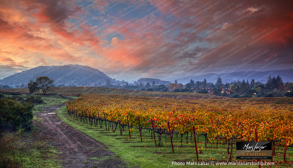 Wine Country Color