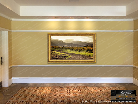 Napa Valley Dreamer_framed_sml