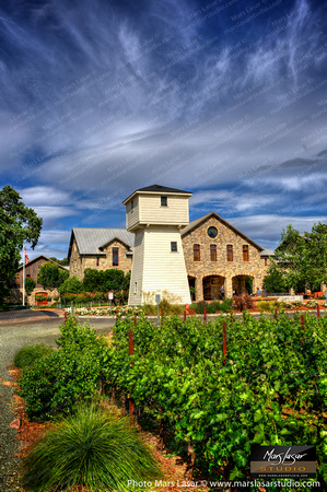 Silver Oak Summer 2