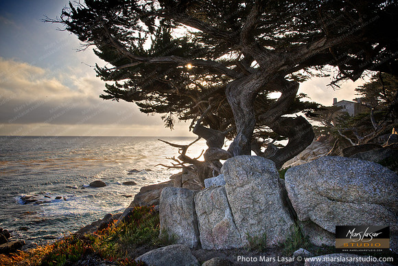 Windy Cypress Bluff 2