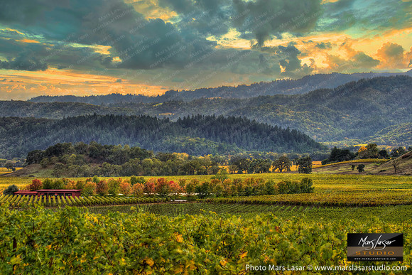 Screaming Eagle Vista