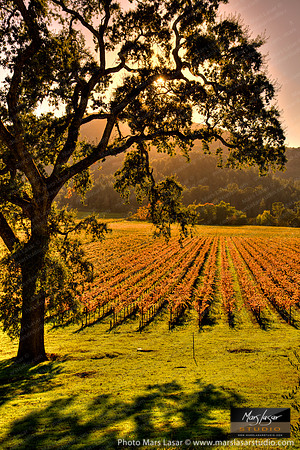 Fall Hidden Valley_vert