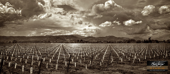 Angels Territory_pan