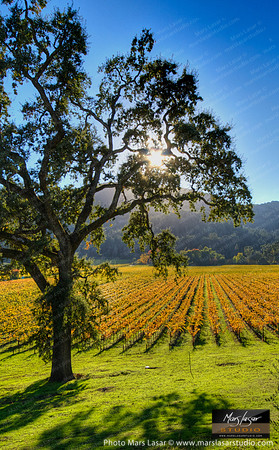 Hidden Valley 6_vert