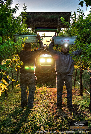 Sunrise Pickers 2_vert