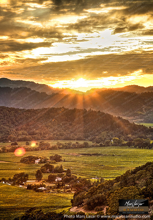 Poetry Inn Sunset_vert