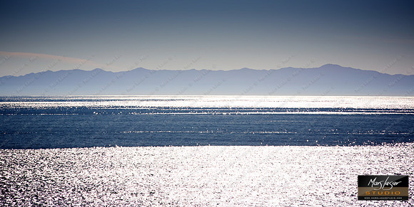 Pacific Blue 2