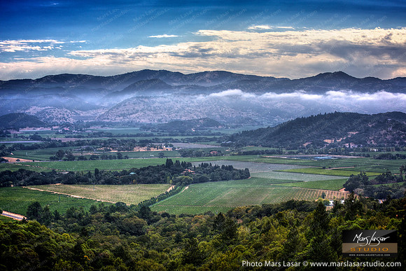 Napa Valley Vista 3