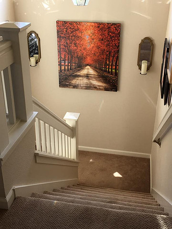 Autum Skies 36"x40" stairwell. A long treelined driveway through Beaulieu Vineyards, Napa Valley, CA USA.