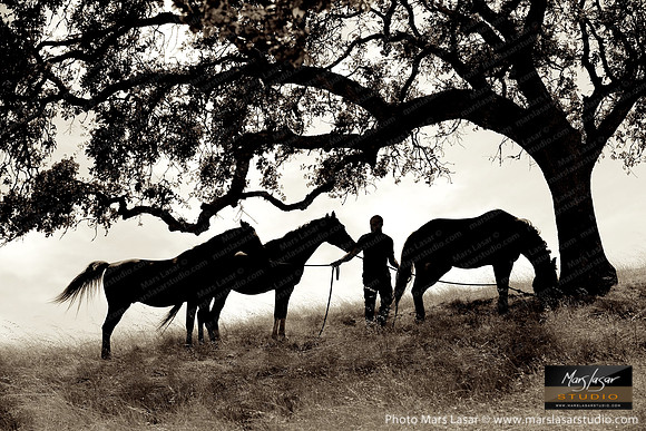 The Horse Whisperer 12