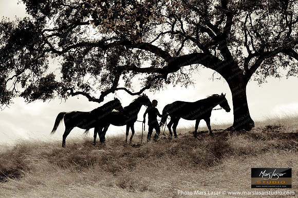 The Horse Whisperer 11