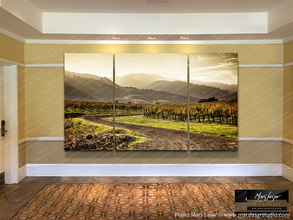 Napa Valley Dreamer_triptych