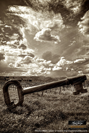 Blackbird Key_vert_sep