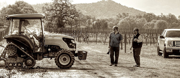 Mars & Carmen Policy