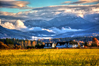 Fields Of Gold