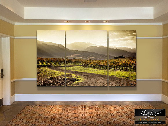 Napa Valley Dreamer_triptych