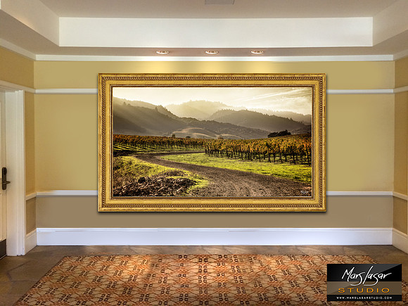 Napa Valley Dreamer_framed_large