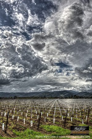 Angels Territory_vert