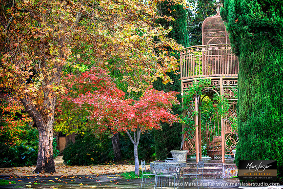 Trefethen Gardens 1