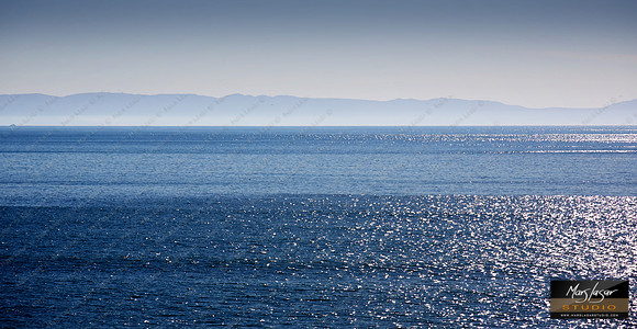 Pacific Blue