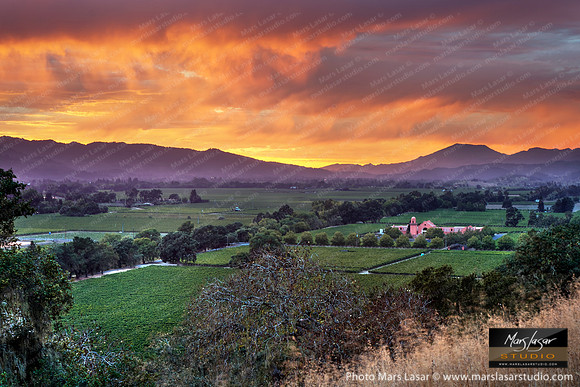 Napa Valley Summer Sunset