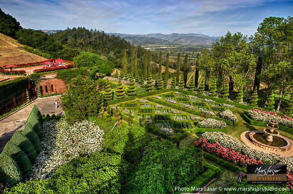 Newton Winery Spring