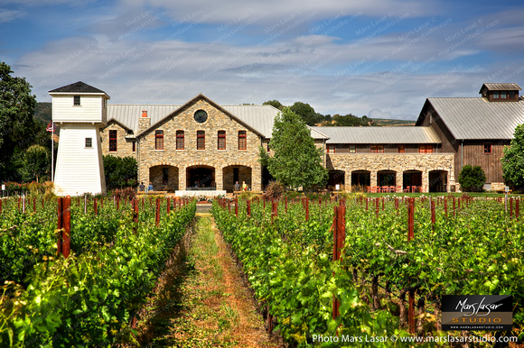 Silver Oak Summer 4