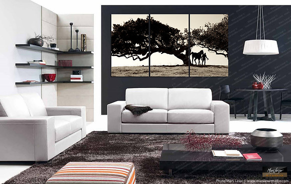 horse whisperer_living room