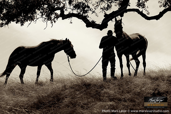 The Horse Whisperer 3