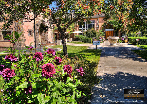 Peju Flowers