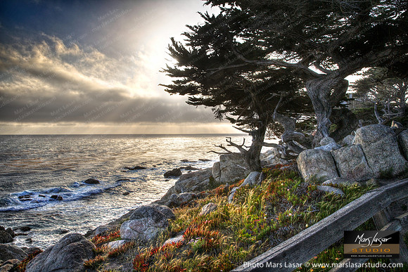 Windy Cypress Bluff