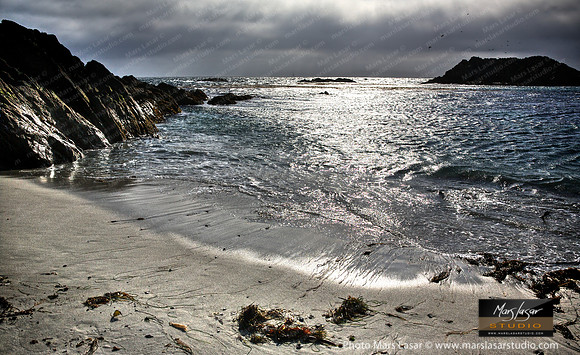 Pebble Beach Shores