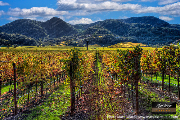 Cheerful Fall Afternoon