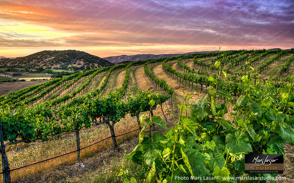 Chandon Summer Twilight