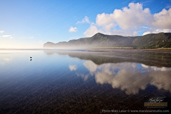 Reflective Paradise