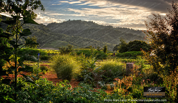 French Laundry Gardens 3