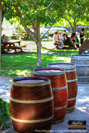 V.Sattui_Visitor Lawn with barrels 3