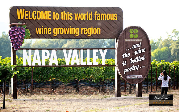 Napa Valley Sign_Day 12